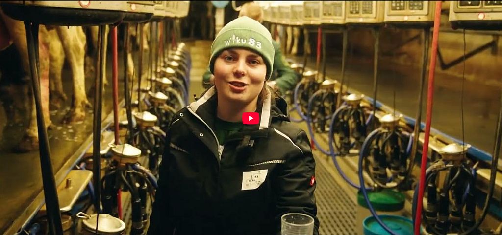 Wiku 83 - Filmprojekt